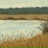 Bogomolove