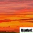 iljunfant