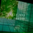 Quantum Vision