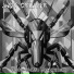 .wdf Grinder