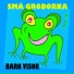 Sara Eng