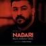 Reza Karami Tara