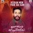 Saqlain Abbas