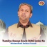 Mohammad Hafeez Freedi