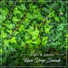 Regen, Deep Sleep Music Collective, Rain Recorders