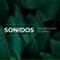 Sonidos de Armonía, Schola Camerata