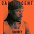 CAPNIFICENT