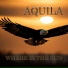 Aquila