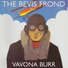 The Bevis Frond