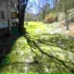 Lzba