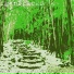 fgvntracks