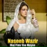 Naseeb Wazir