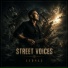 Street Voices