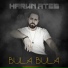 Harun Ateş