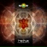 Tectum