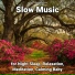 Soft Music, Relaxing Music, Yoga