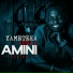 Amini Afrika