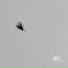 KSF (Killer Sounding Frequencies)