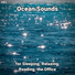 Shoreline Sounds, Nature Sounds, Ocean Sounds