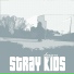 Stray Kids