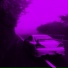 whxtelxght