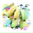 Stival, Banza
