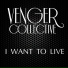 Venger Collective