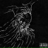 iamcxldi feat. MABEAV