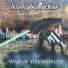 Insensate Machine