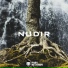 NUDIR