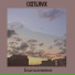 CXSTLAVIX