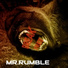 Mr.Rumble