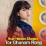 Noor Hameed Ghanam