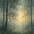 Sommnia, Гамма-волны
