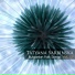 Tatyana Sarbinska, Ensemble "Pirin"