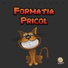 Formatia Pricol