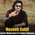 Naseeb Sahil