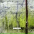 Hely