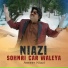 Ameer Niazi