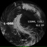 Signal (Col)