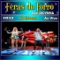 Feras do Forró