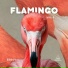 Flaminik, My Little Coffin