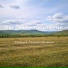 Гандик Галсан-Нимын