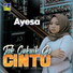 Ayesa