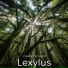 Lexylus