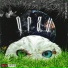 Yung Vision, Young Richie Rich