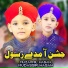 Muzammil Hasan, Mudassir Hasan Qadri
