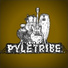 Artimus Pyle