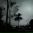 BXXTLEJUICE