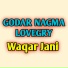 Waqar Jani